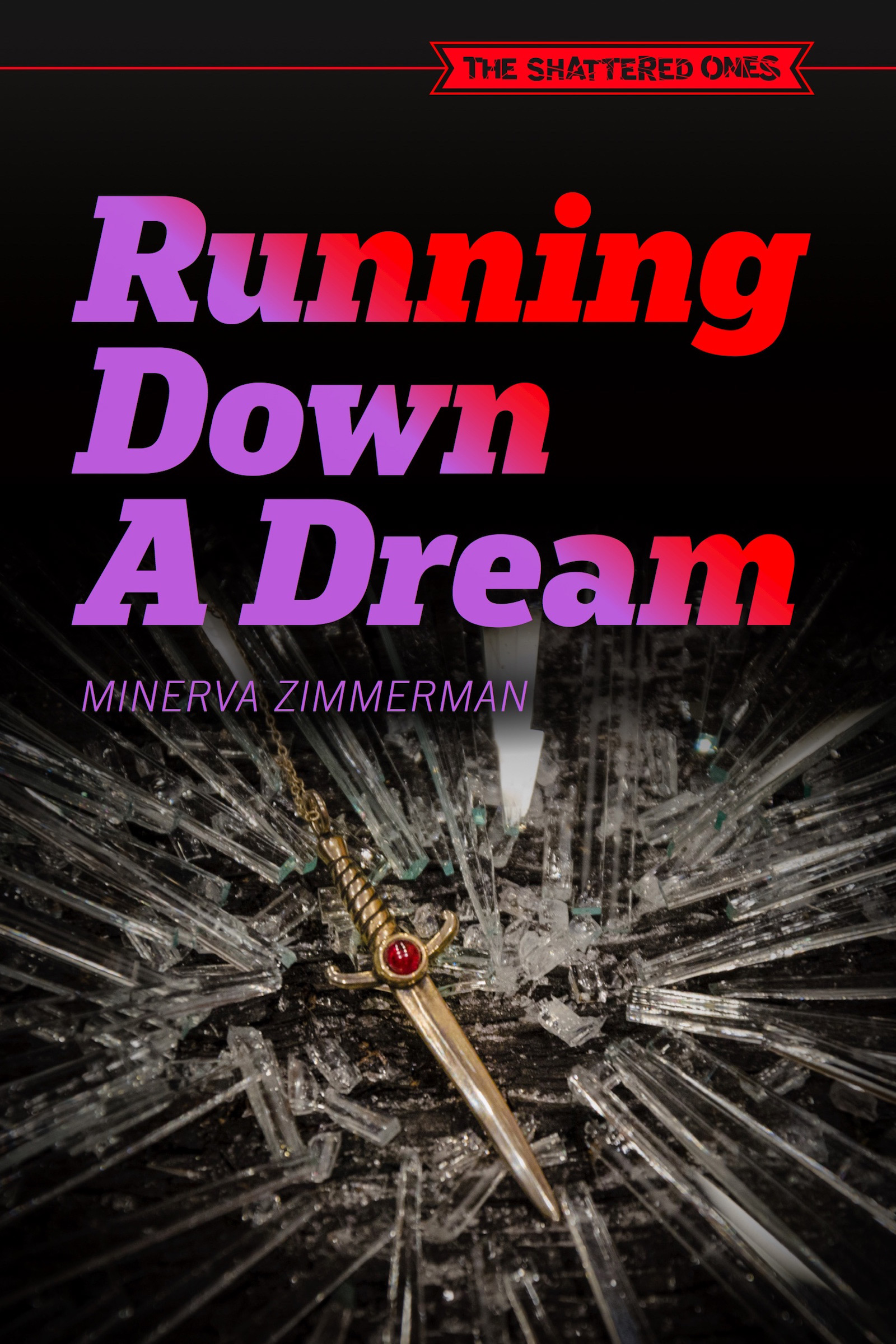 Cover image for Running Down a Dream