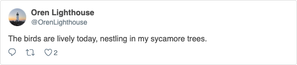 A tweet from Oren Lighthouse, which reads: The birds are lively today, nestling in my sycamore trees.